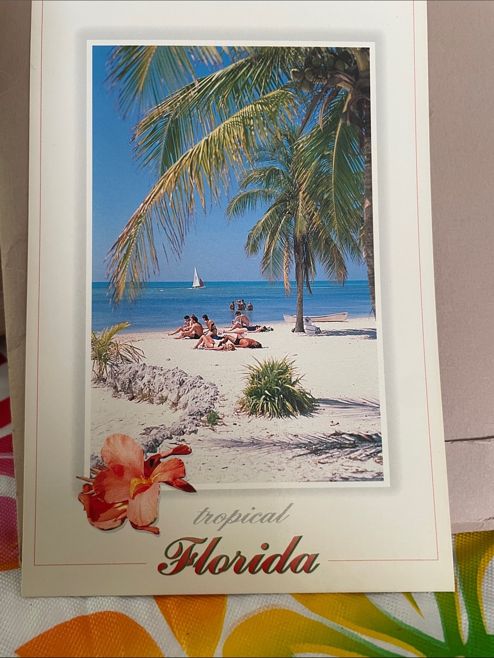 Florida Tropical Beach assorted post cards selling all five